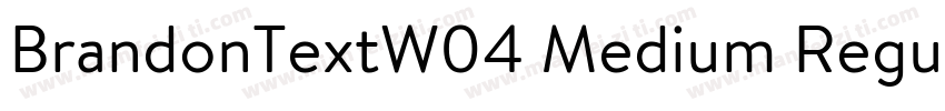 BrandonTextW04 Medium Regular字体转换